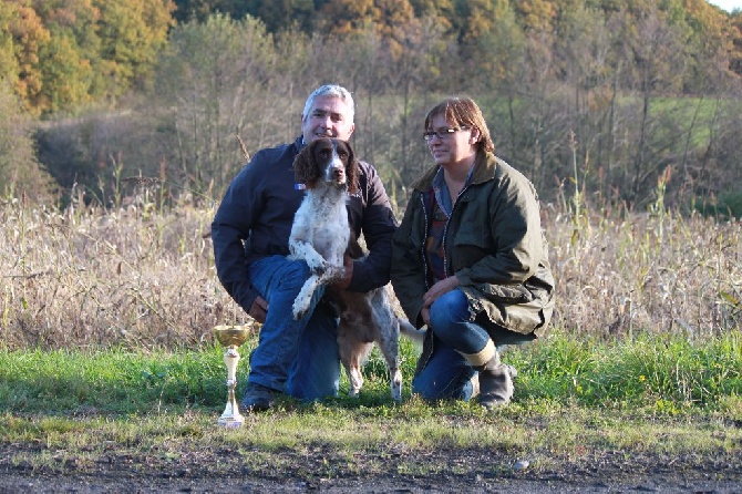 du plateau des capucins - Coupe d'Europe Spaniels 2014